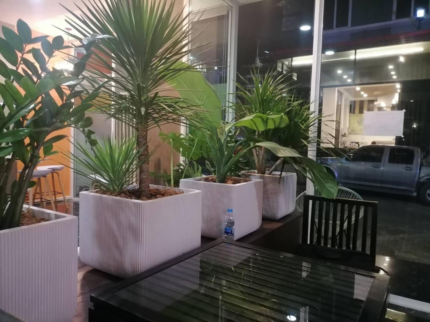 Nj Patong Hotel Екстериор снимка